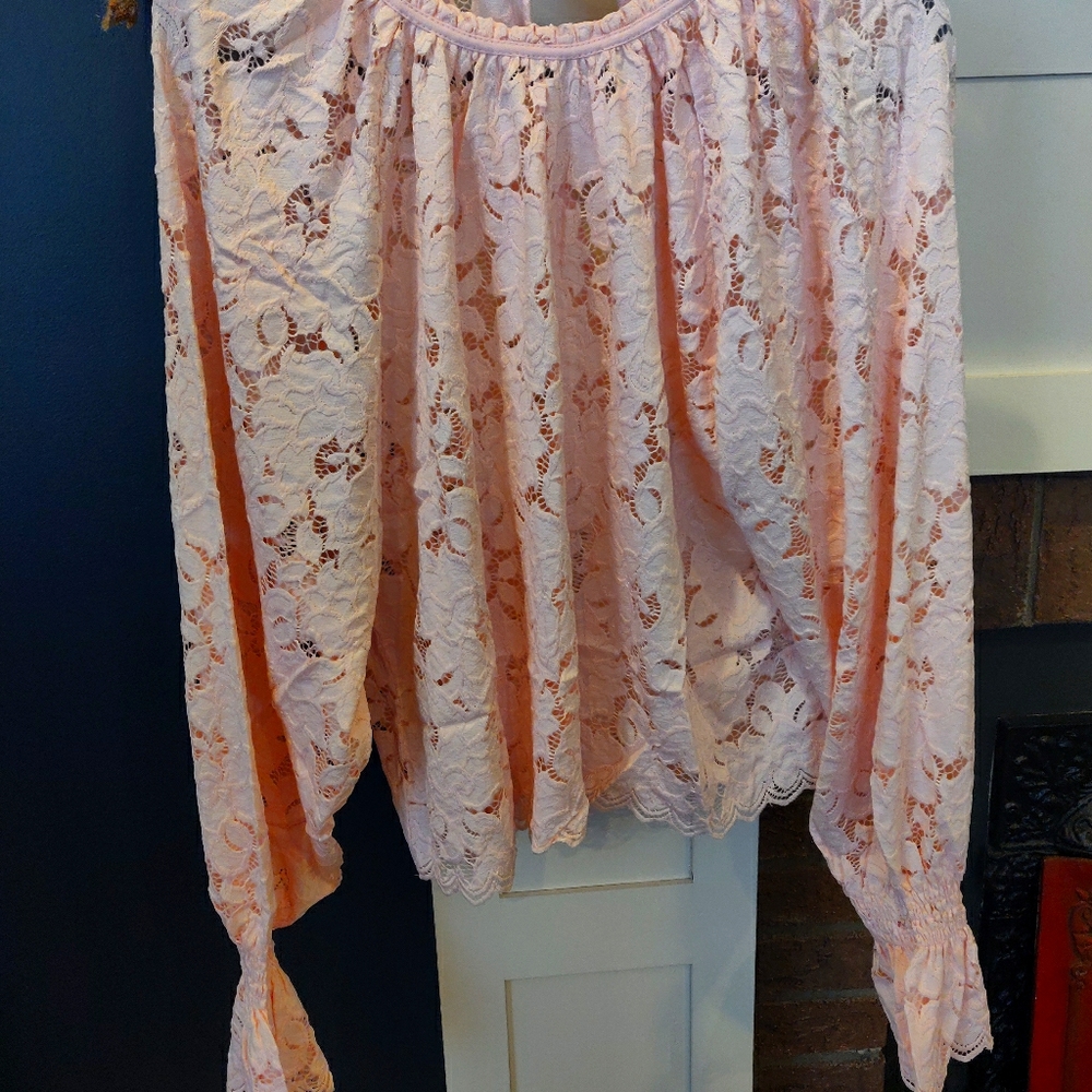 NWT Free People Lacy Pink Top